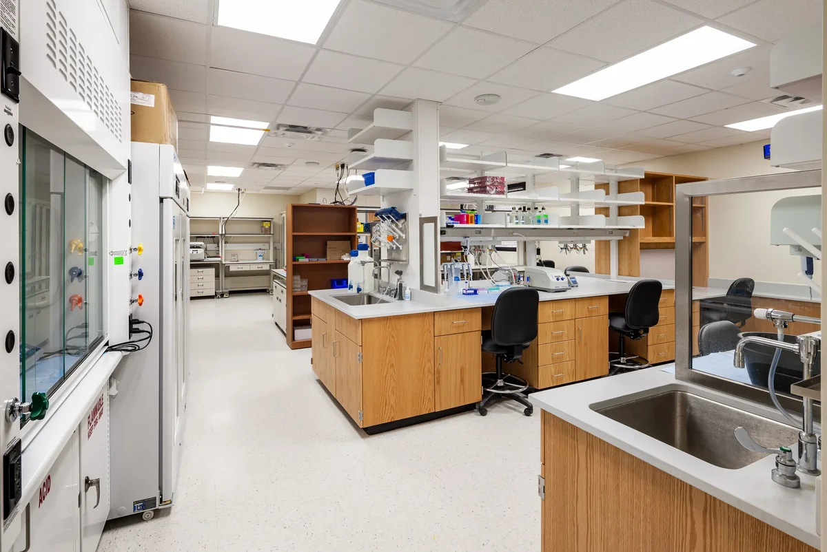 Chen lab at UT Southwestern, lab opening